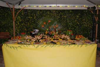 Carpa exterior en masia